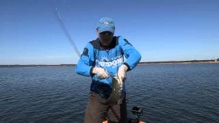 Striper Fishing Lake Buchanan